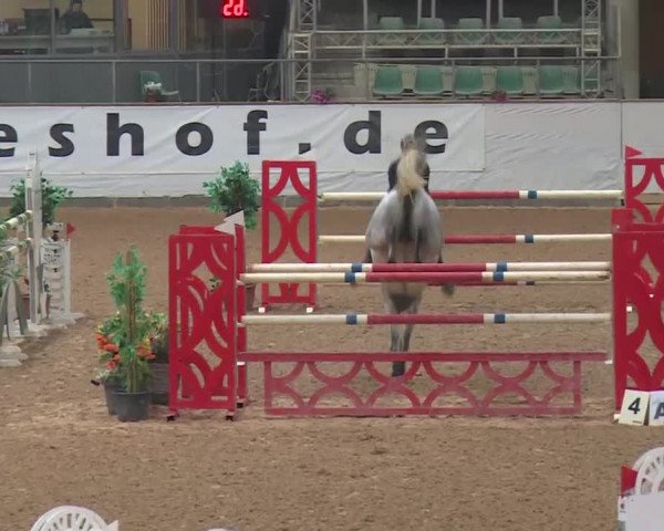 Reitturnier Kreuth 2018