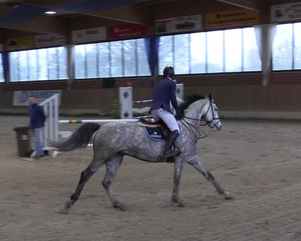 Reitturnier Heiden 2018