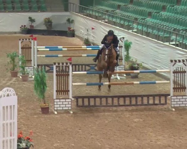 Reitturnier Kreuth 2018