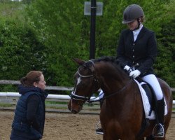 dressage horse Caro-Ass D (Rhinelander, 2014, from Cachassini)