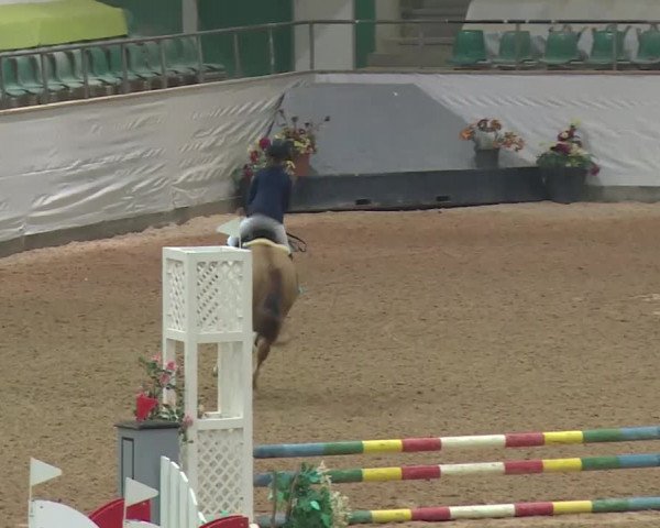 Reitturnier Kreuth 2018