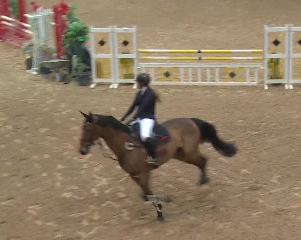 Reitturnier Kreuth 2018