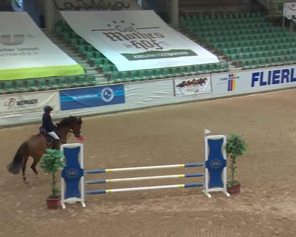 Reitturnier Kreuth 2018