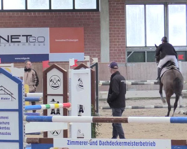 Reitturnier Heiden 2018