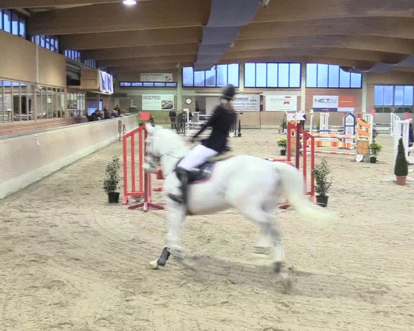 Reitturnier Heiden 2018