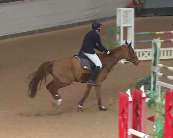 Reitturnier Kreuth 2018