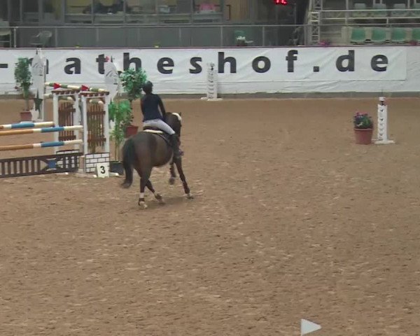 Reitturnier Kreuth 2018