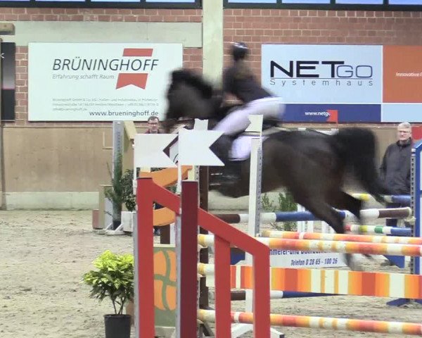 Reitturnier Heiden 2018