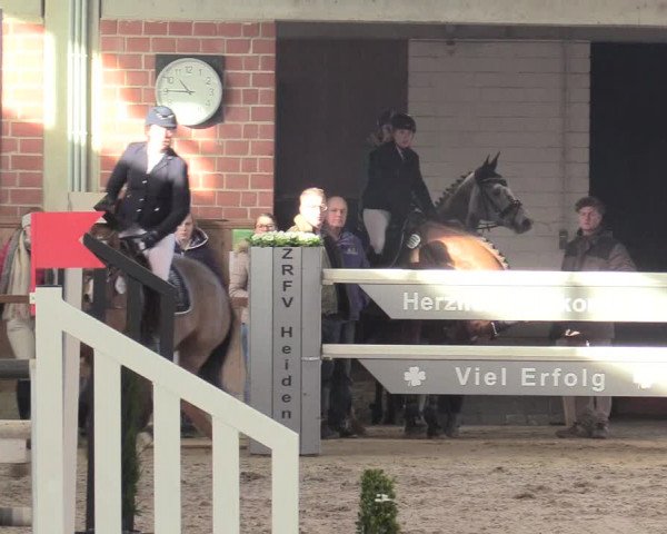Reitturnier Heiden 2018