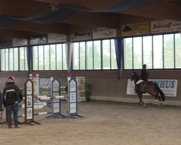 Reitturnier Heiden 2018