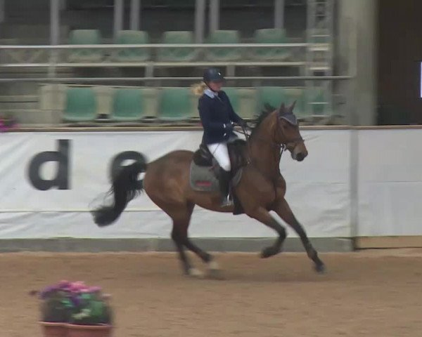 Reitturnier Kreuth 2018