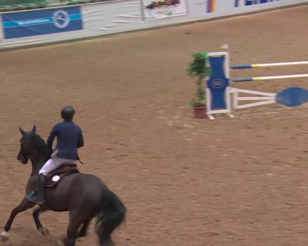 Reitturnier Kreuth 2018