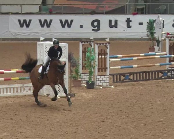 Reitturnier Kreuth 2018