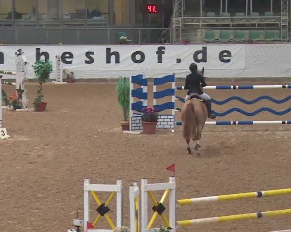 Reitturnier Kreuth 2018