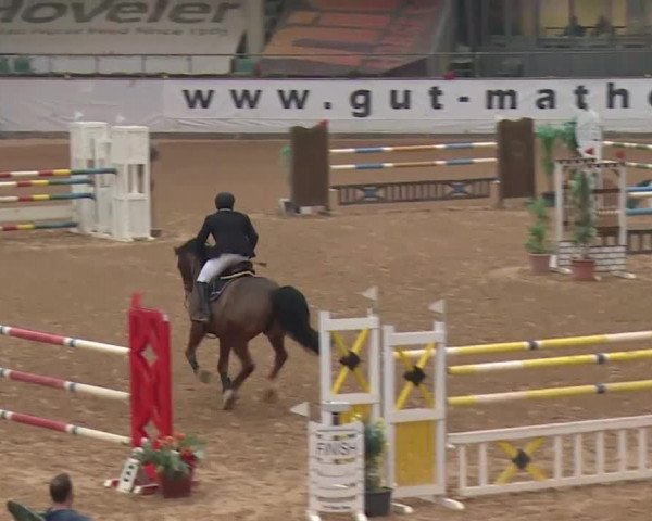 Reitturnier Kreuth 2018