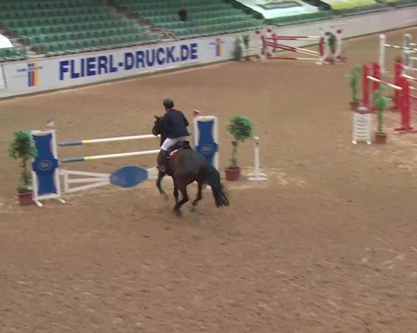 Reitturnier Kreuth 2018