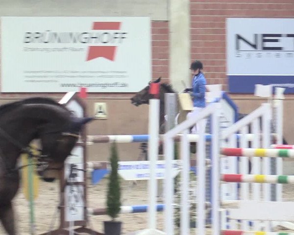 Reitturnier Heiden 2018