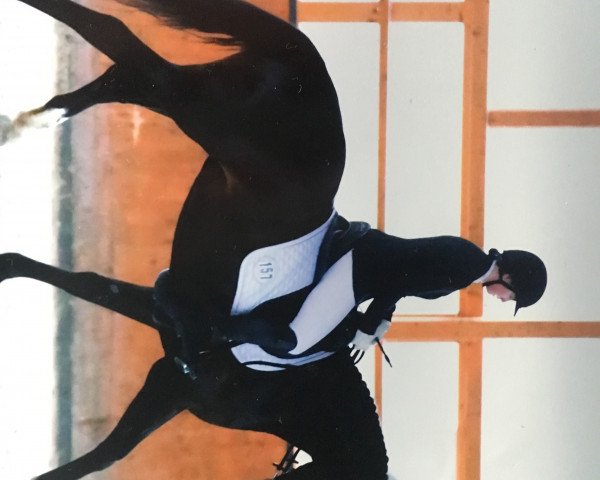 dressage horse Queen G (Hanoverian, 2012, from Quaterhall)