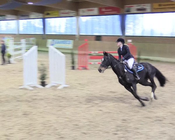 Reitturnier Heiden 2018