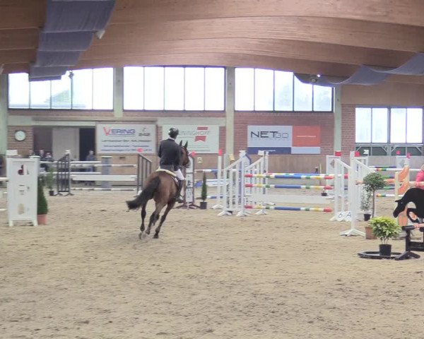Reitturnier Heiden 2018