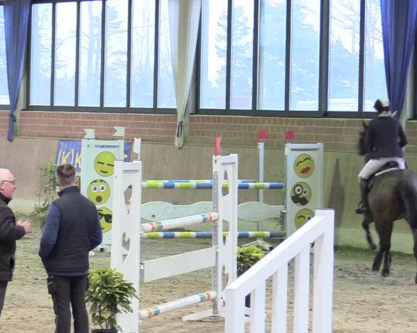 Reitturnier Heiden 2018