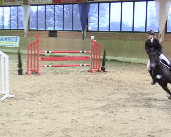 Reitturnier Heiden 2018