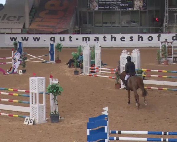 Reitturnier Kreuth 2018