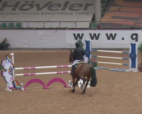 Reitturnier Kreuth 2018