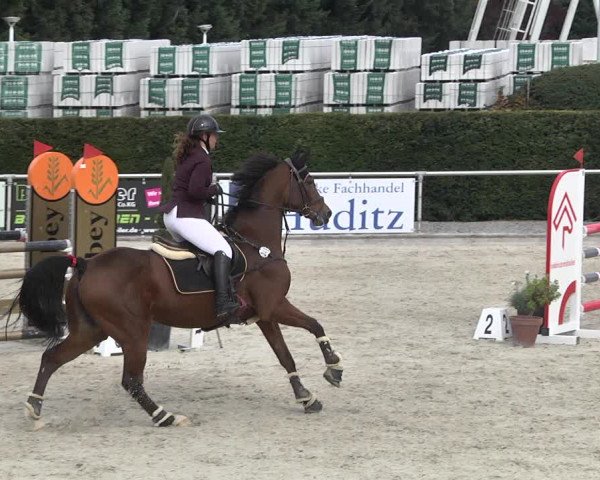 Reitturnier Durmersheim-Hardt 2021