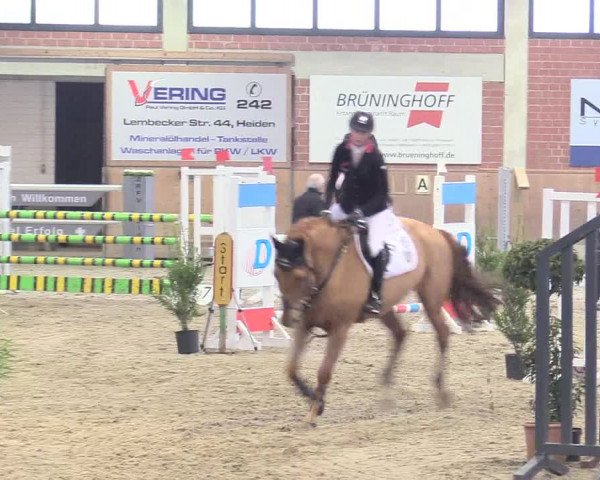 Reitturnier Heiden 2018