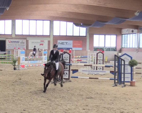 Reitturnier Heiden 2018
