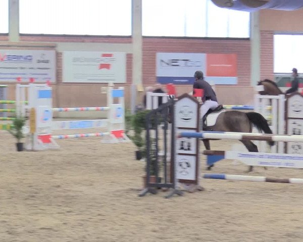 Reitturnier Heiden 2018