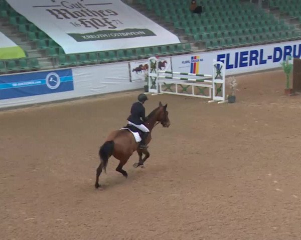 Reitturnier Kreuth 2018