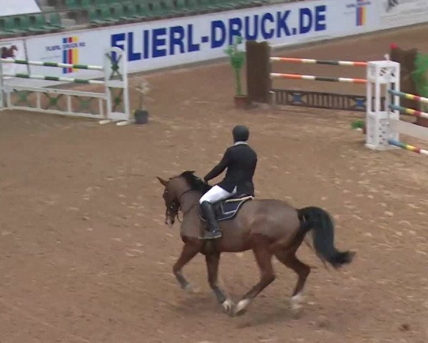 Reitturnier Kreuth 2018