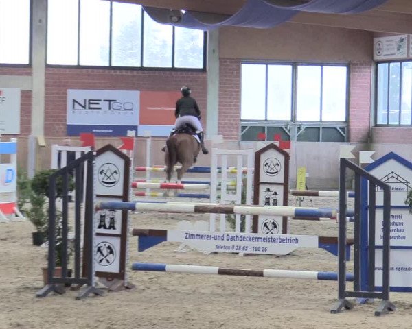Reitturnier Heiden 2018