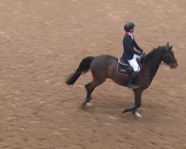 Reitturnier Kreuth 2018