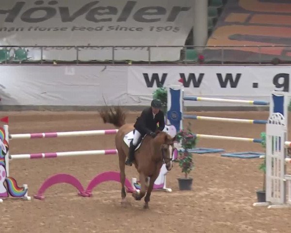 Reitturnier Kreuth 2018