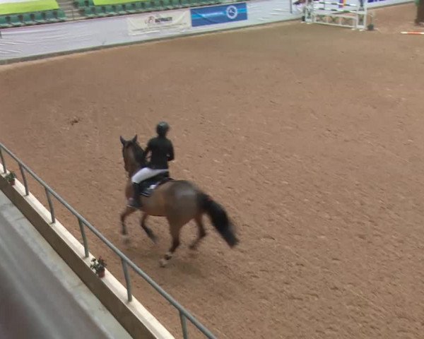 Reitturnier Kreuth 2018
