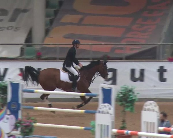 Reitturnier Kreuth 2018