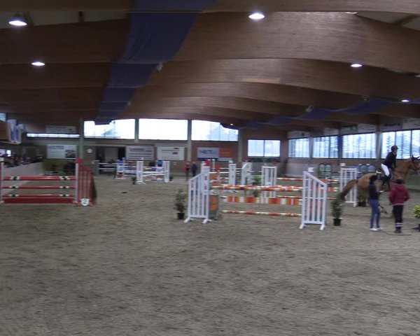 Reitturnier Heiden 2018