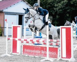 jumper Caju 9 (Holsteiner, 2010, from Cannavaros)