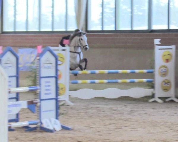 Reitturnier Heiden 2018