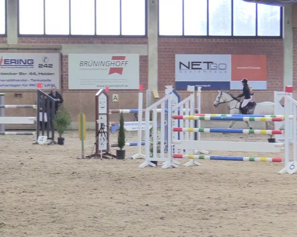 Reitturnier Heiden 2018