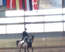 dressage horse For Noblesse (Hanoverian, 2007, from For Edition)