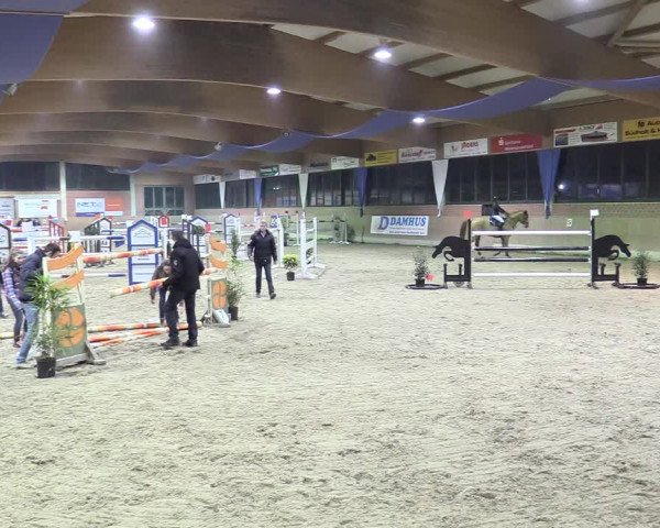 Reitturnier Heiden 2018