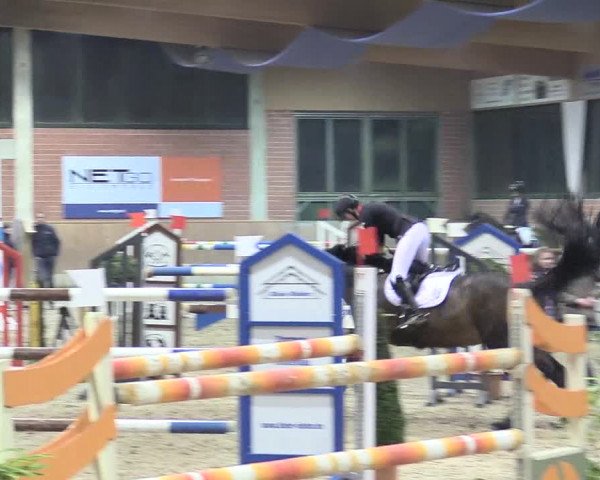 Reitturnier Heiden 2018