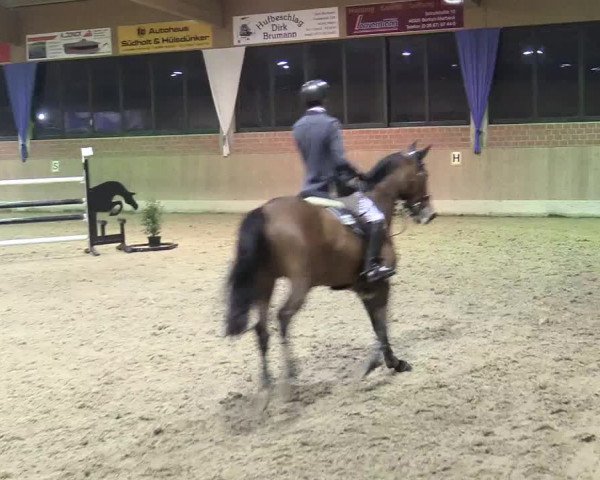 Reitturnier Heiden 2018