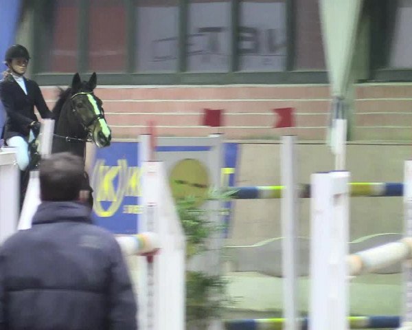 Reitturnier Heiden 2018