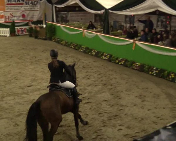 Reitturnier Keppeln 2018
