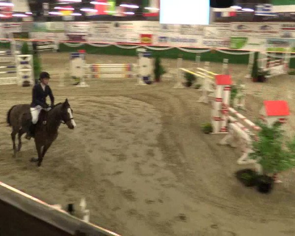 Reitturnier Keppeln 2018
